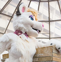 Drei by FuzzFactory (2017)