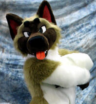 Oakland by Sunny Valley Creations (2017)