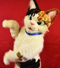 Juniper by WildLife (2017)