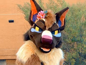 Pike by Gorehund (2018)