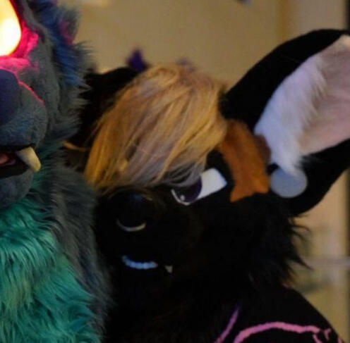 ??? by Fleeting Fennec (2025)